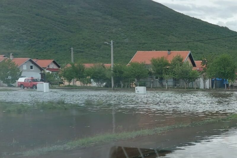 Poplava gracac